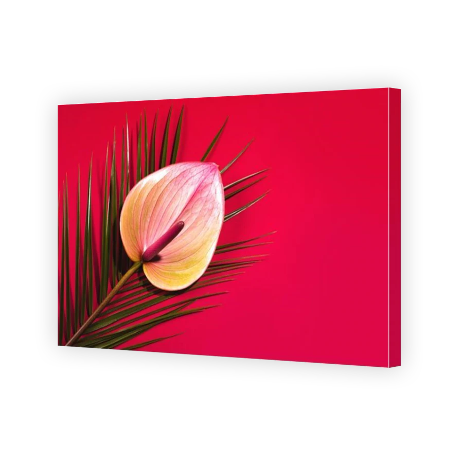 Thumbnail for Canvas - Mirror Image Canvas Wrap