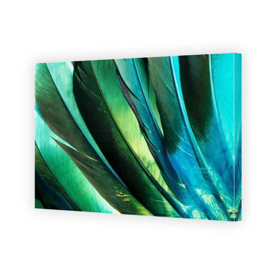 Thumbnail for Canvas - Mirror Image Canvas Wrap