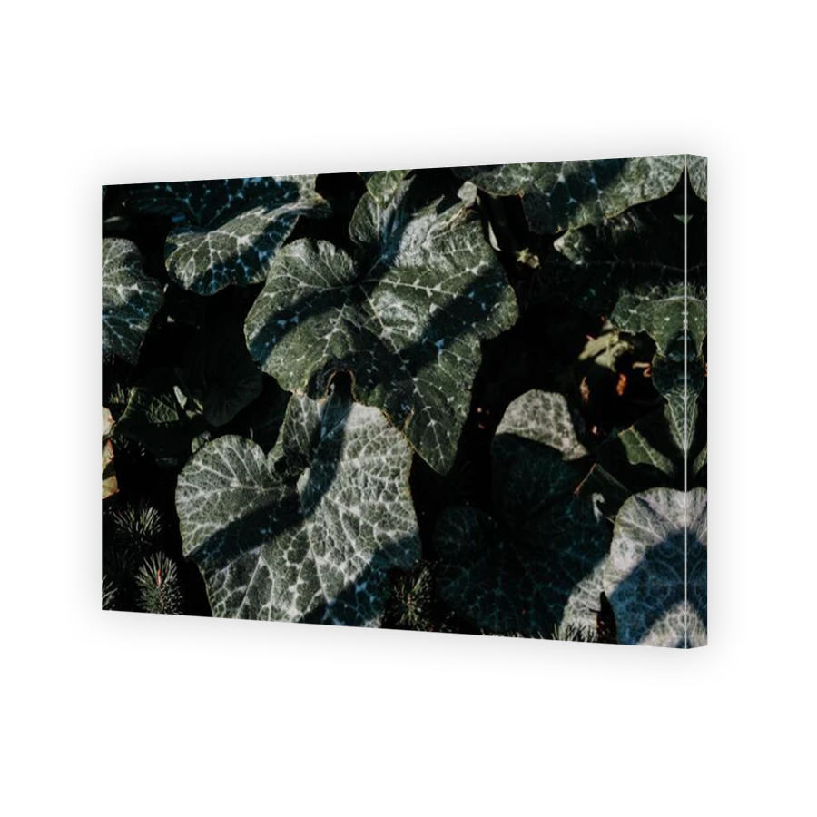 Thumbnail for Canvas - Mirror Image Canvas Wrap