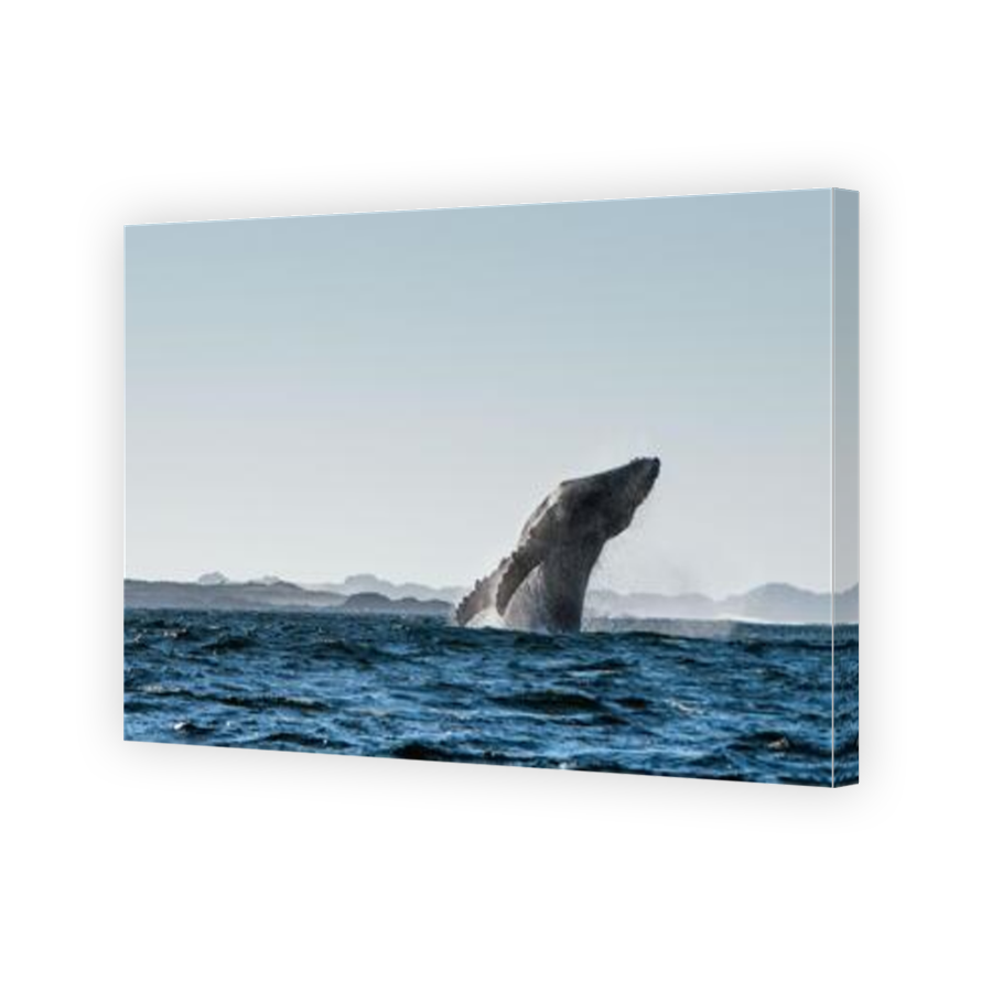 Thumbnail for Canvas - Mirror Image Canvas Wrap