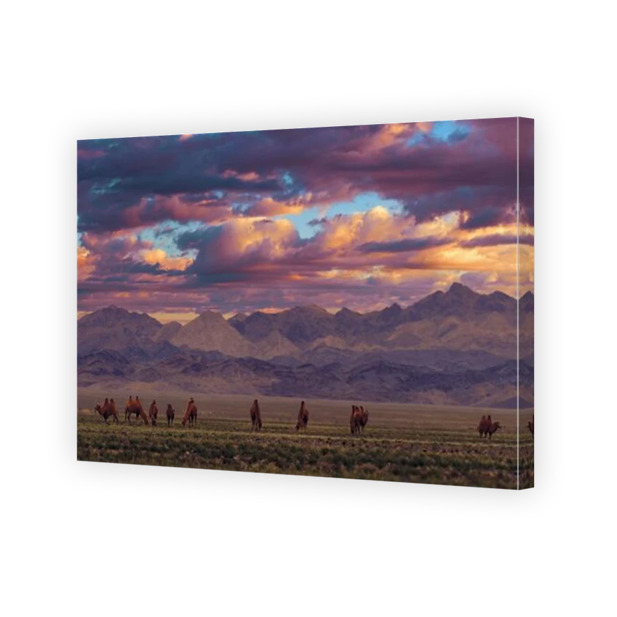 Thumbnail for Canvas - Mirror Image Canvas Wrap