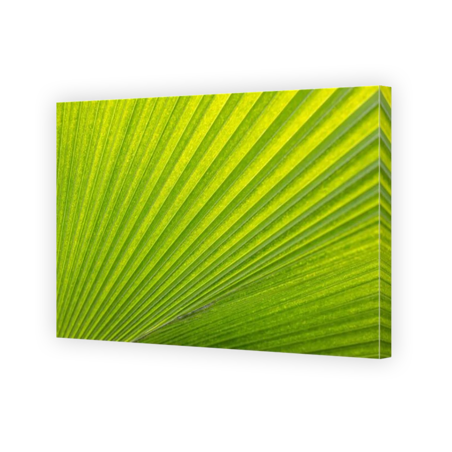 Thumbnail for Canvas - Mirror Image Canvas Wrap
