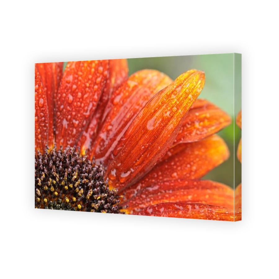 Thumbnail for Canvas - Mirror Image Canvas Wrap