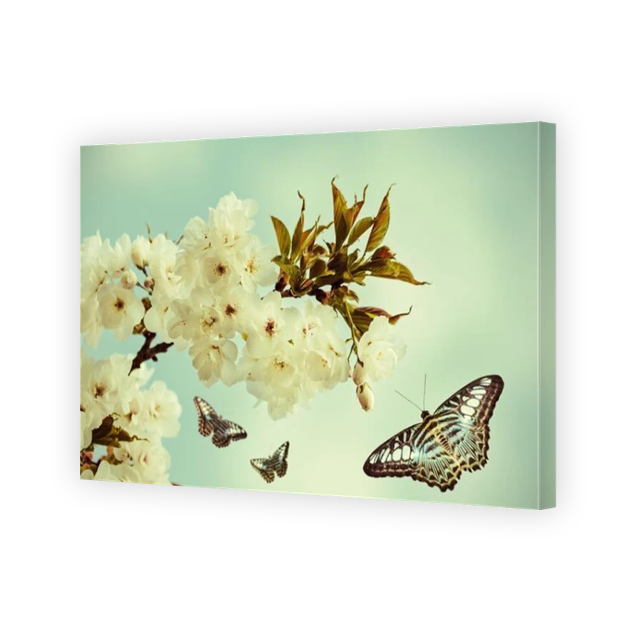 Thumbnail for Canvas - Mirror Image Canvas Wrap