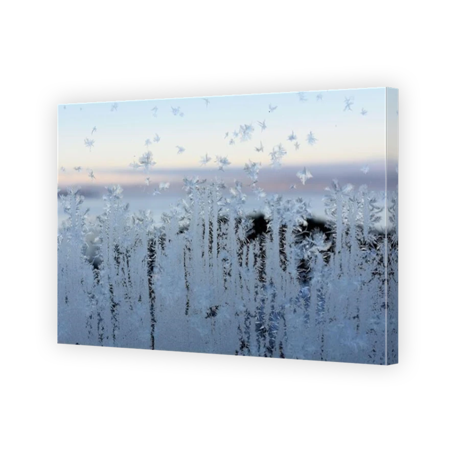 Thumbnail for Canvas - Mirror Image Canvas Wrap
