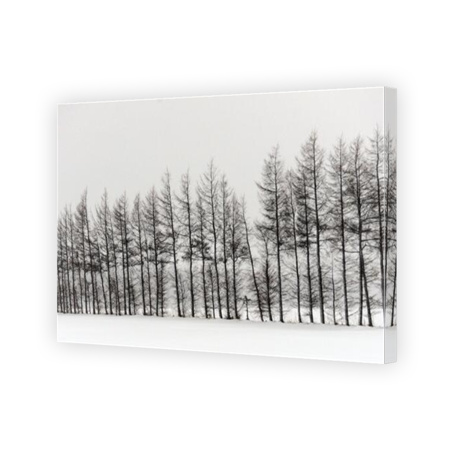 Thumbnail for Canvas - Mirror Image Canvas Wrap