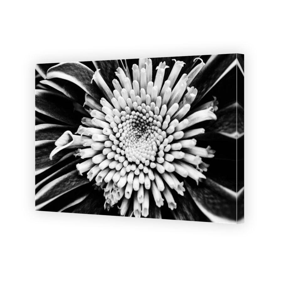 Thumbnail for Canvas - Mirror Image Canvas Wrap