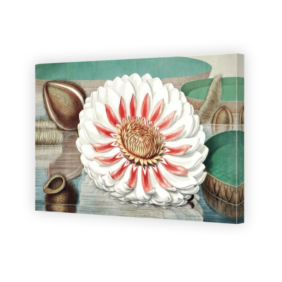 Thumbnail for Canvas - Mirror Image Canvas Wrap