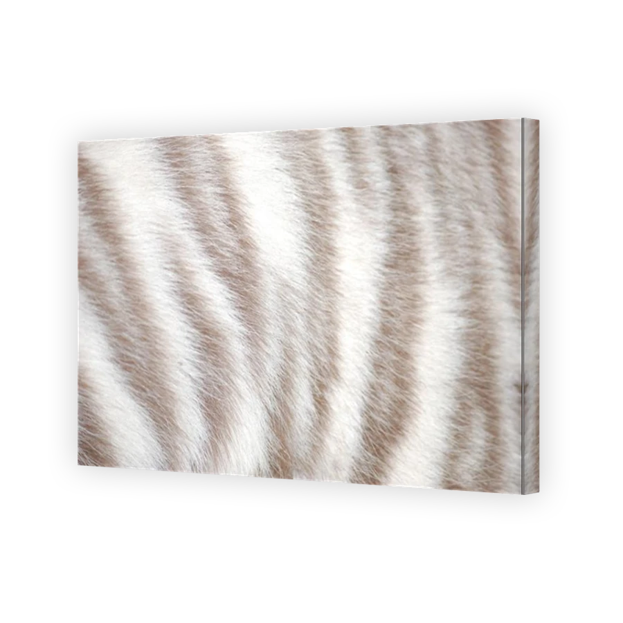 Thumbnail for Canvas - Mirror Image Canvas Wrap