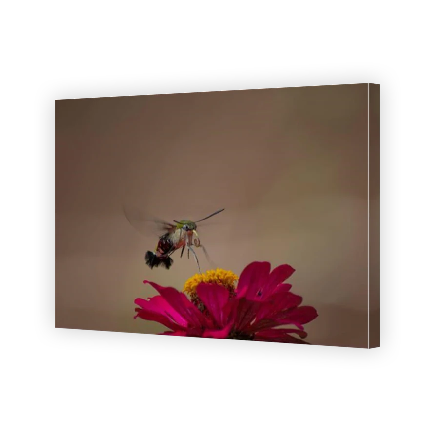 Thumbnail for Canvas - Mirror Image Canvas Wrap