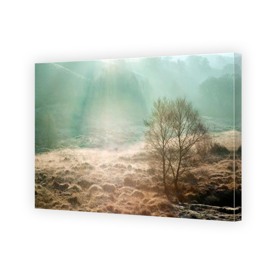 Thumbnail for Canvas - Mirror Image Canvas Wrap