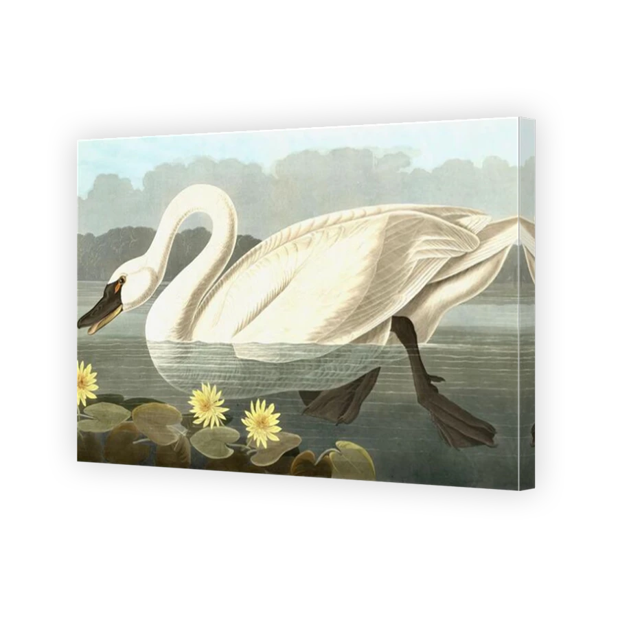Thumbnail for Canvas - Mirror Image Canvas Wrap