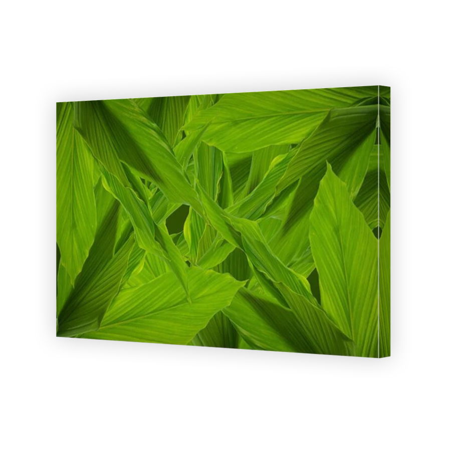 Thumbnail for Canvas - Mirror Image Canvas Wrap