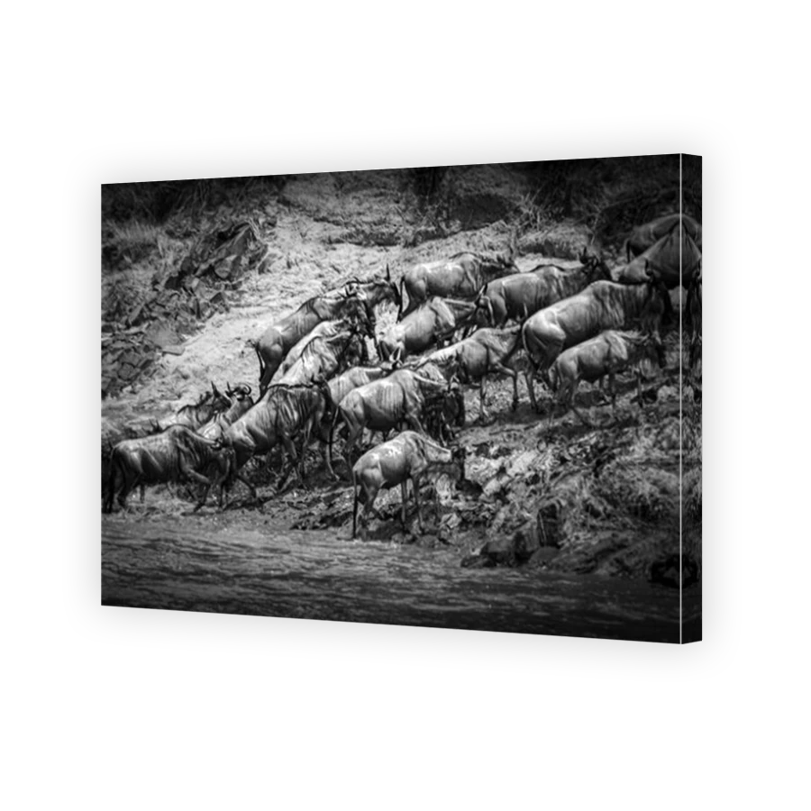 Thumbnail for Canvas - Mirror Image Canvas Wrap
