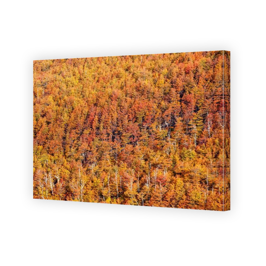 Thumbnail for Canvas - Mirror Image Canvas Wrap