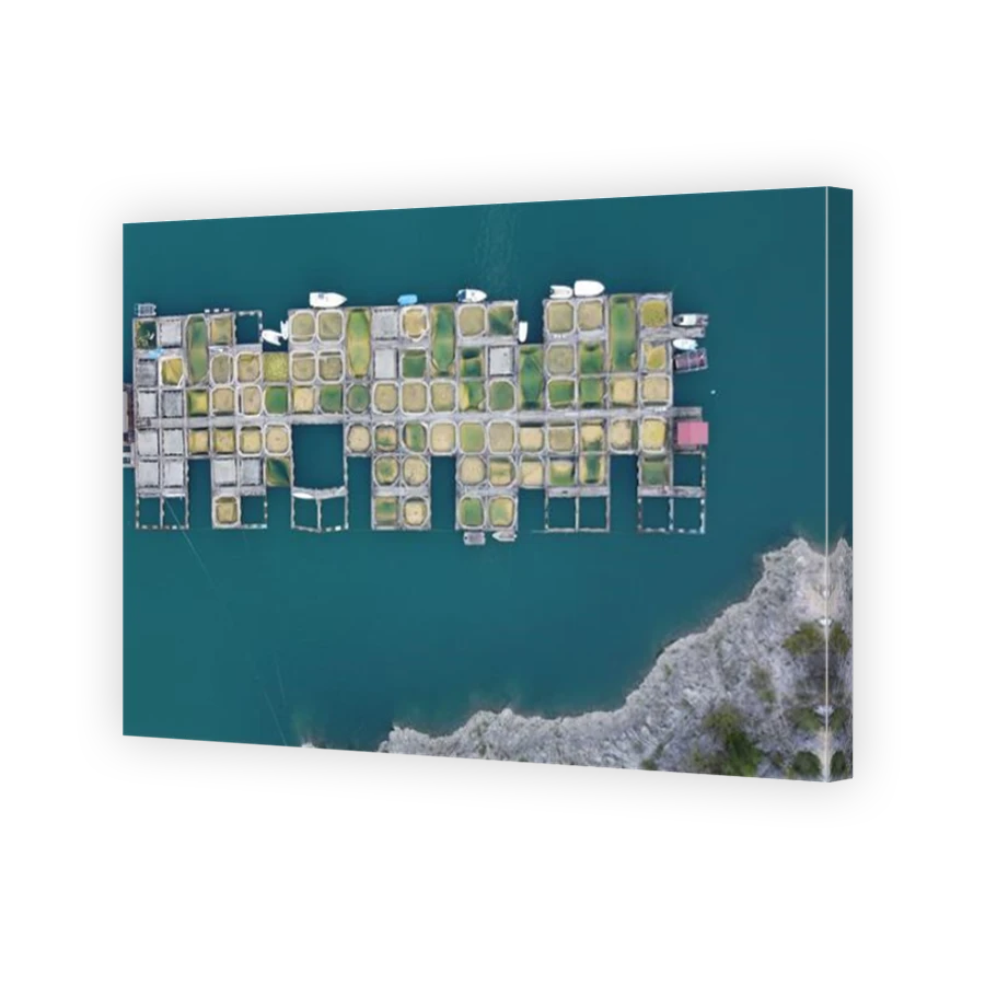 Thumbnail for Canvas - Mirror Image Canvas Wrap