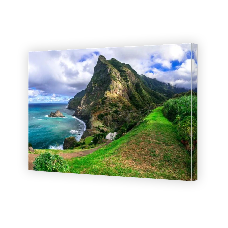 Thumbnail for Canvas - Mirror Image Canvas Wrap