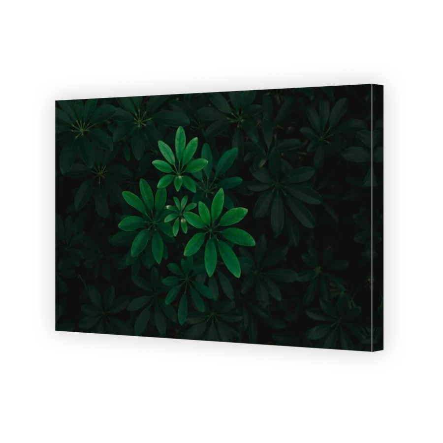 Thumbnail for Canvas - Mirror Image Canvas Wrap