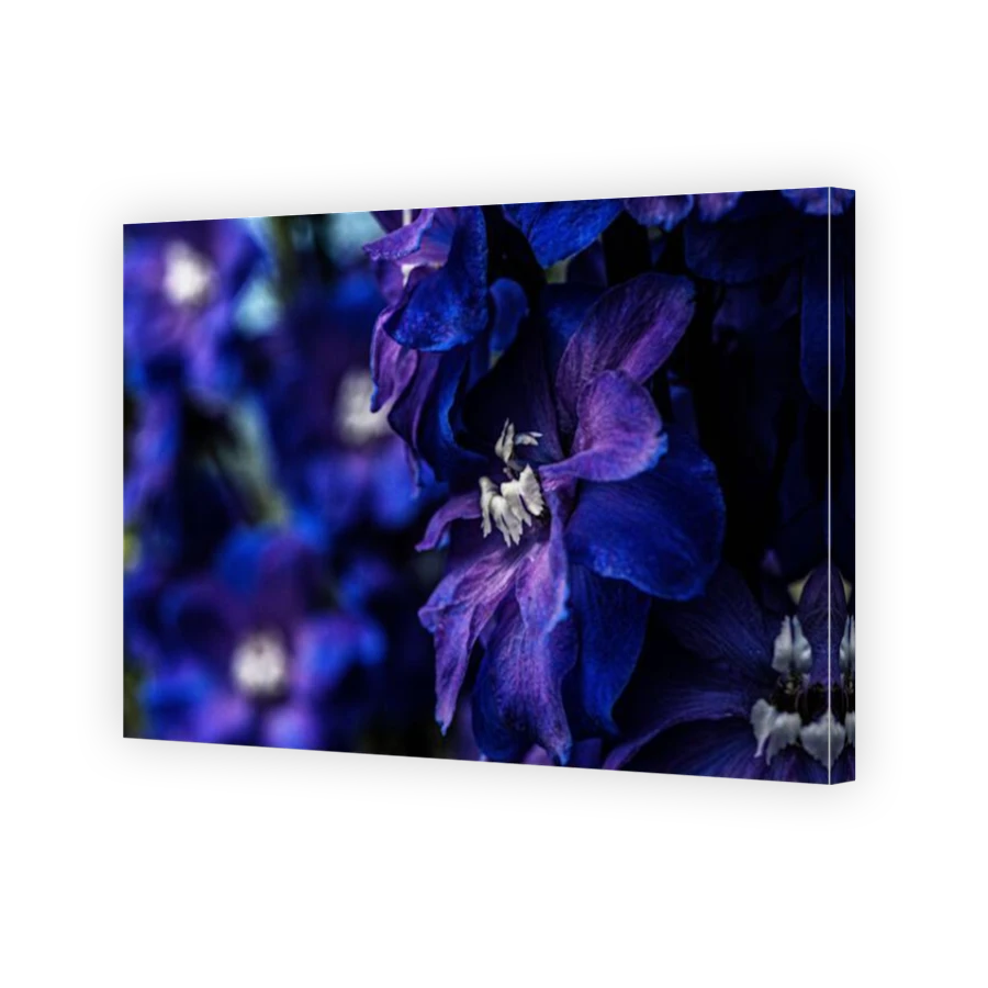Thumbnail for Canvas - Mirror Image Canvas Wrap