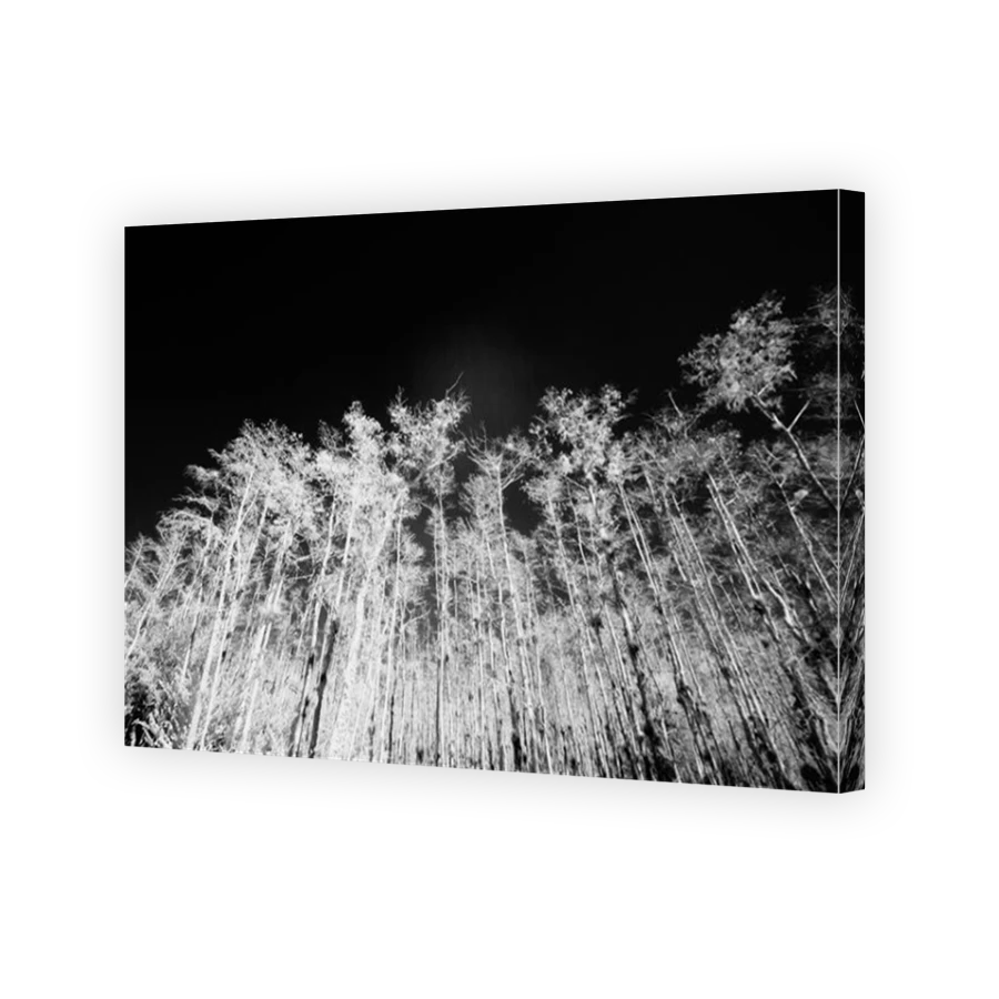 Thumbnail for Canvas - Mirror Image Canvas Wrap