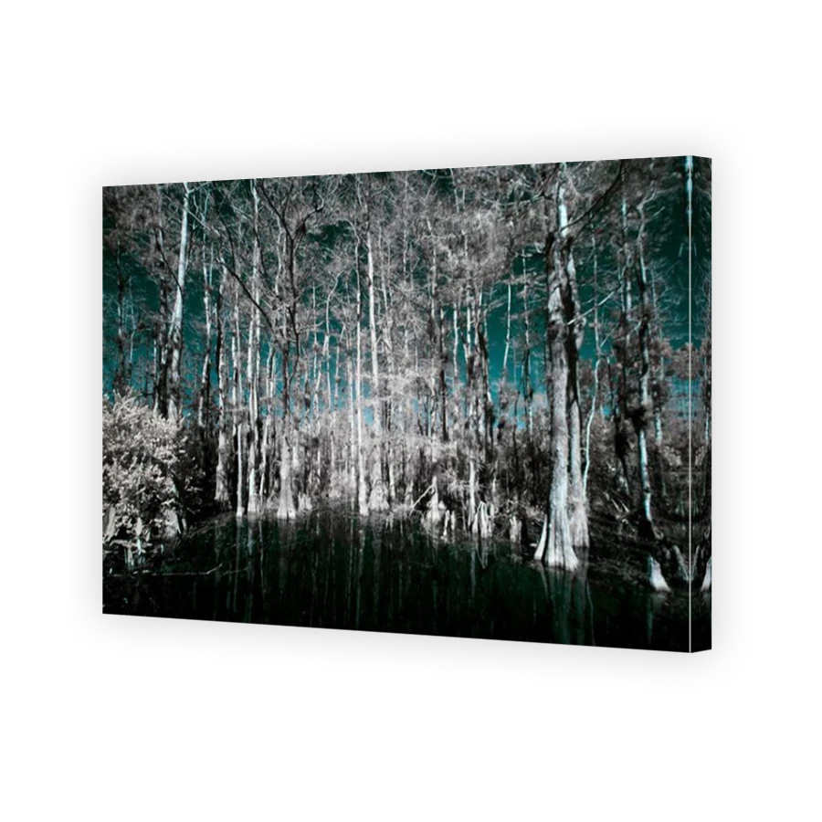 Thumbnail for Canvas - Mirror Image Canvas Wrap