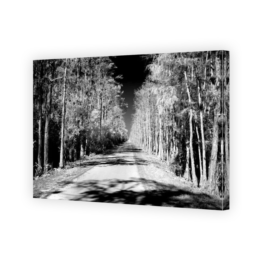 Thumbnail for Canvas - Mirror Image Canvas Wrap