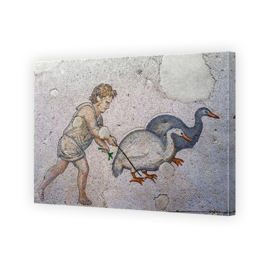 Thumbnail for Canvas - Mirror Image Canvas Wrap
