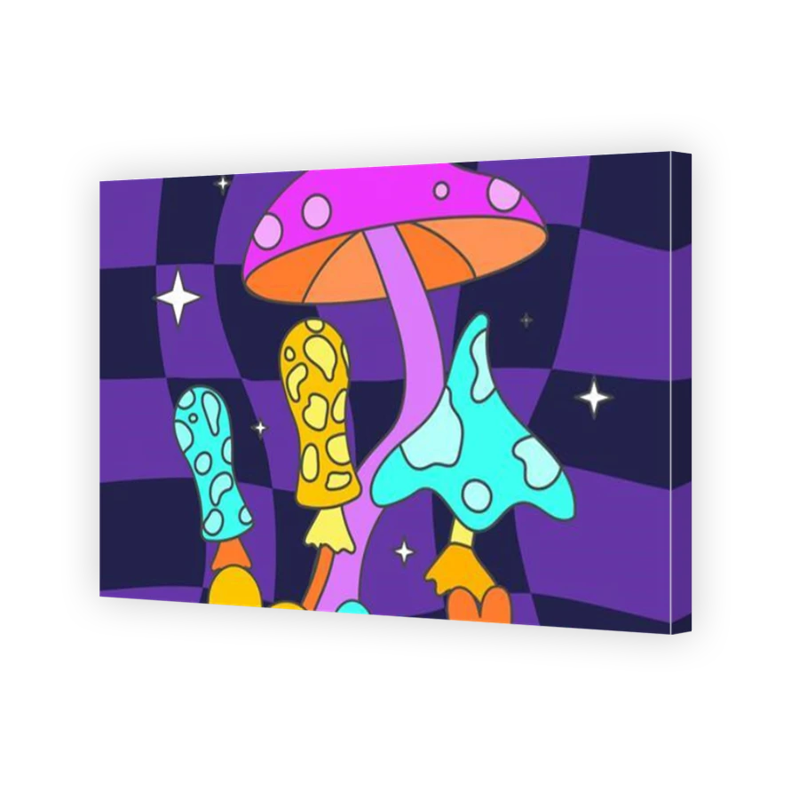 Thumbnail for Canvas - Mirror Image Canvas Wrap