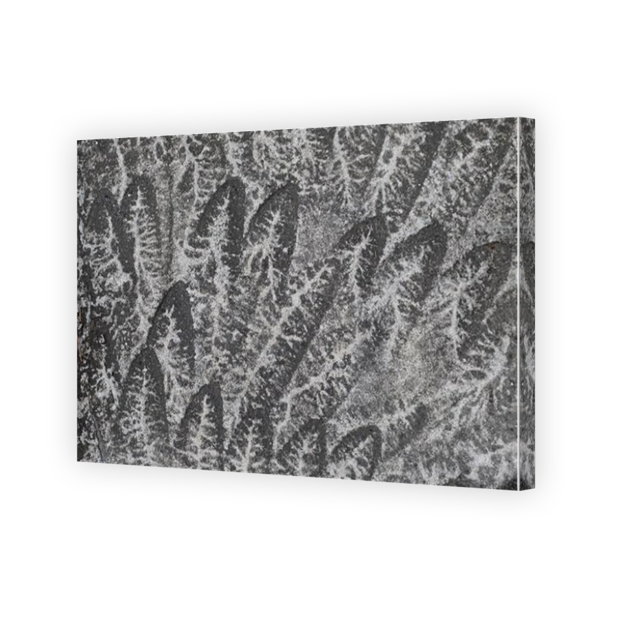 Thumbnail for Canvas - Mirror Image Canvas Wrap