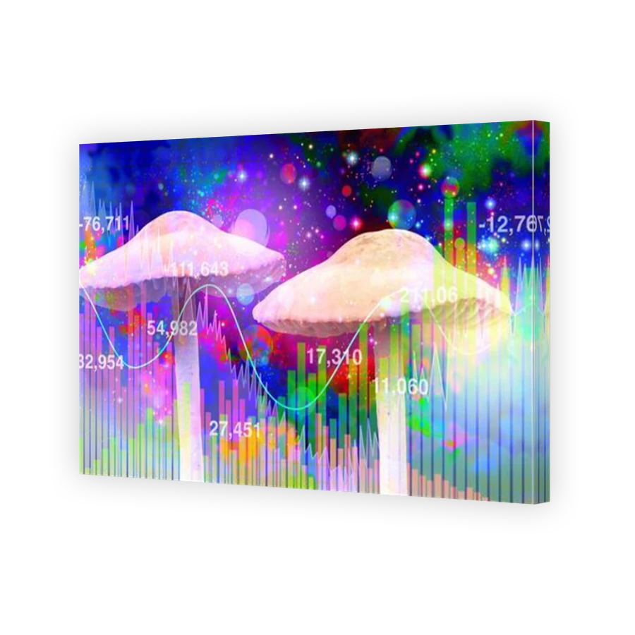 Thumbnail for Canvas - Mirror Image Canvas Wrap