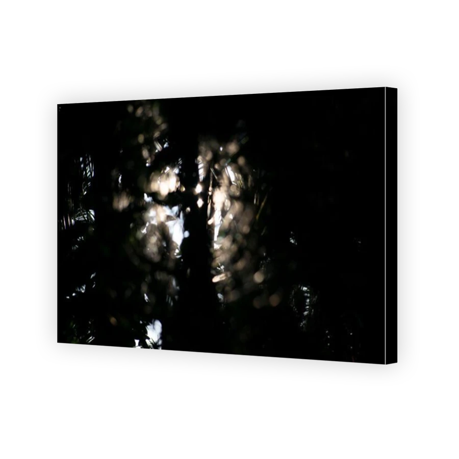 Thumbnail for Canvas - Mirror Image Canvas Wrap