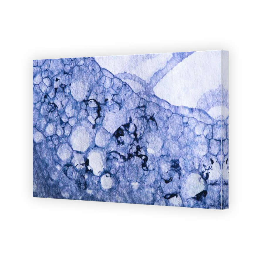 Thumbnail for Canvas - Mirror Image Canvas Wrap