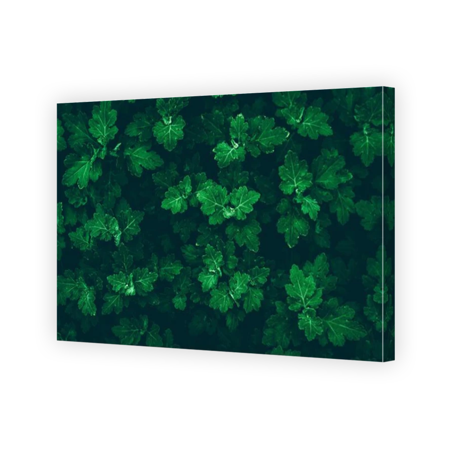Thumbnail for Canvas - Mirror Image Canvas Wrap