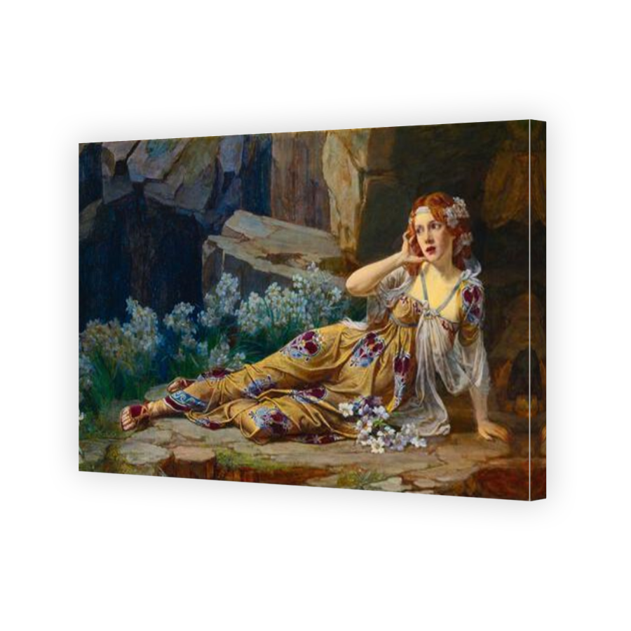 Thumbnail for Canvas - Mirror Image Canvas Wrap