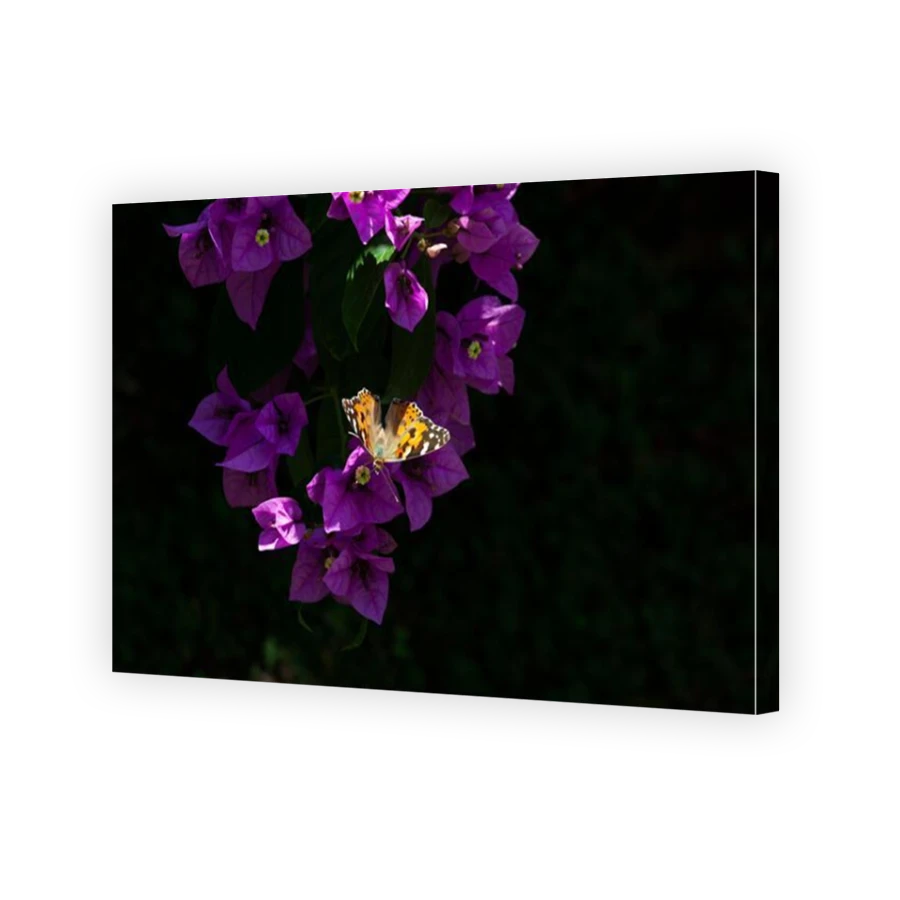 Thumbnail for Canvas - Mirror Image Canvas Wrap