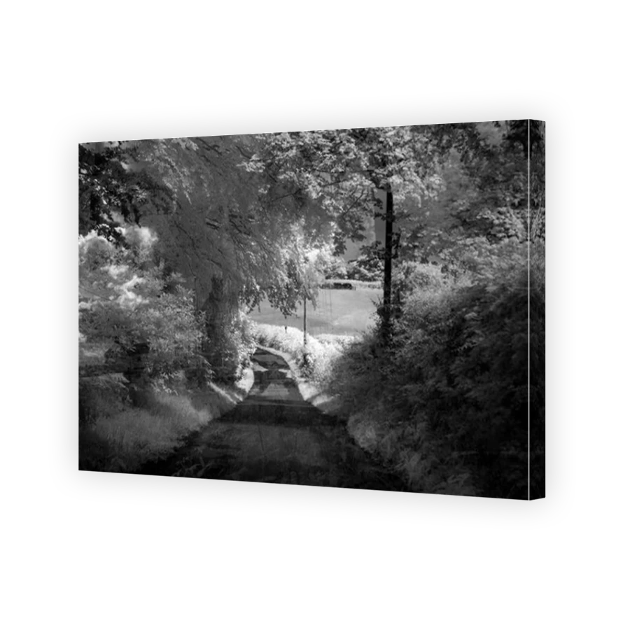 Thumbnail for Canvas - Mirror Image Canvas Wrap