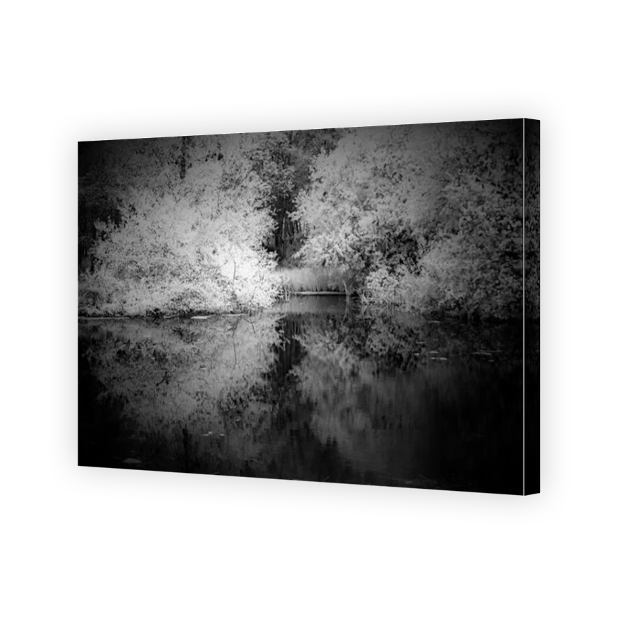 Thumbnail for Canvas - Mirror Image Canvas Wrap