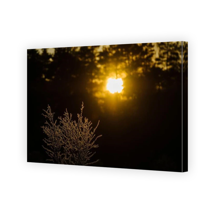 Thumbnail for Canvas - Mirror Image Canvas Wrap