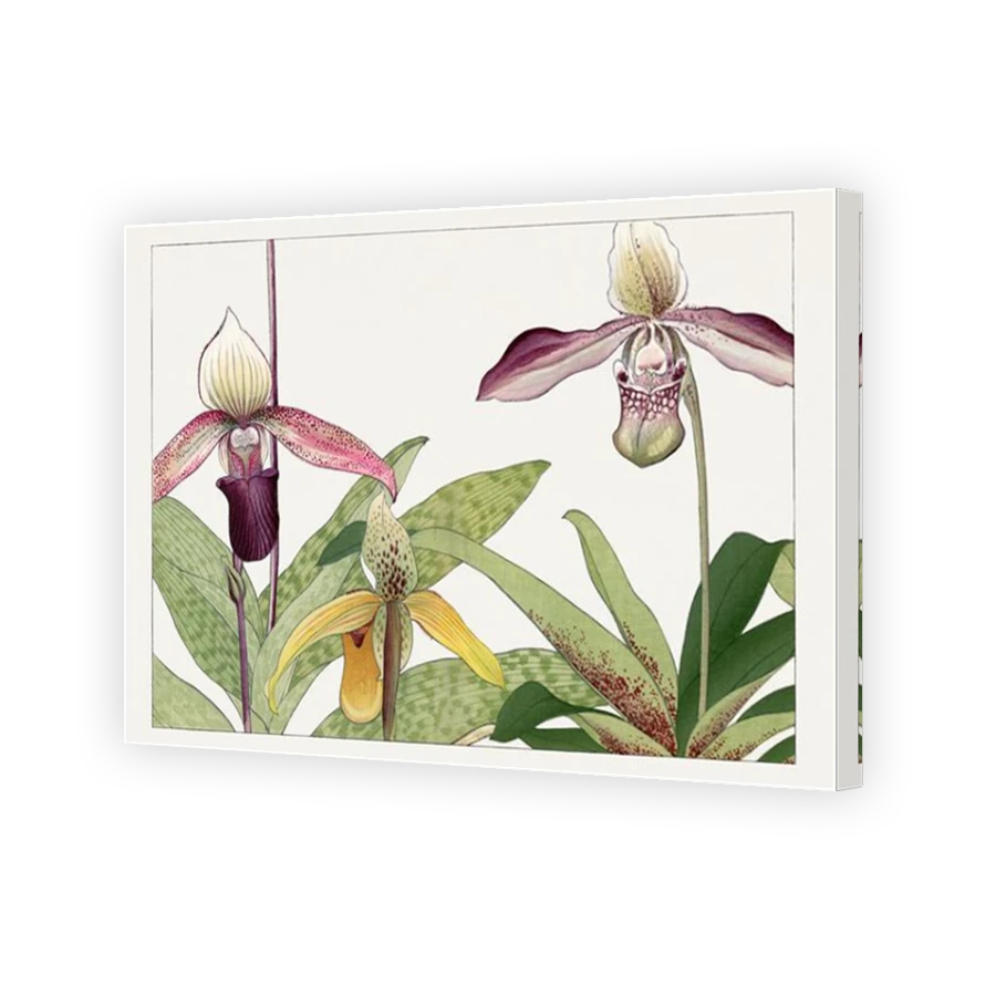 Thumbnail for Canvas - Mirror Image Canvas Wrap