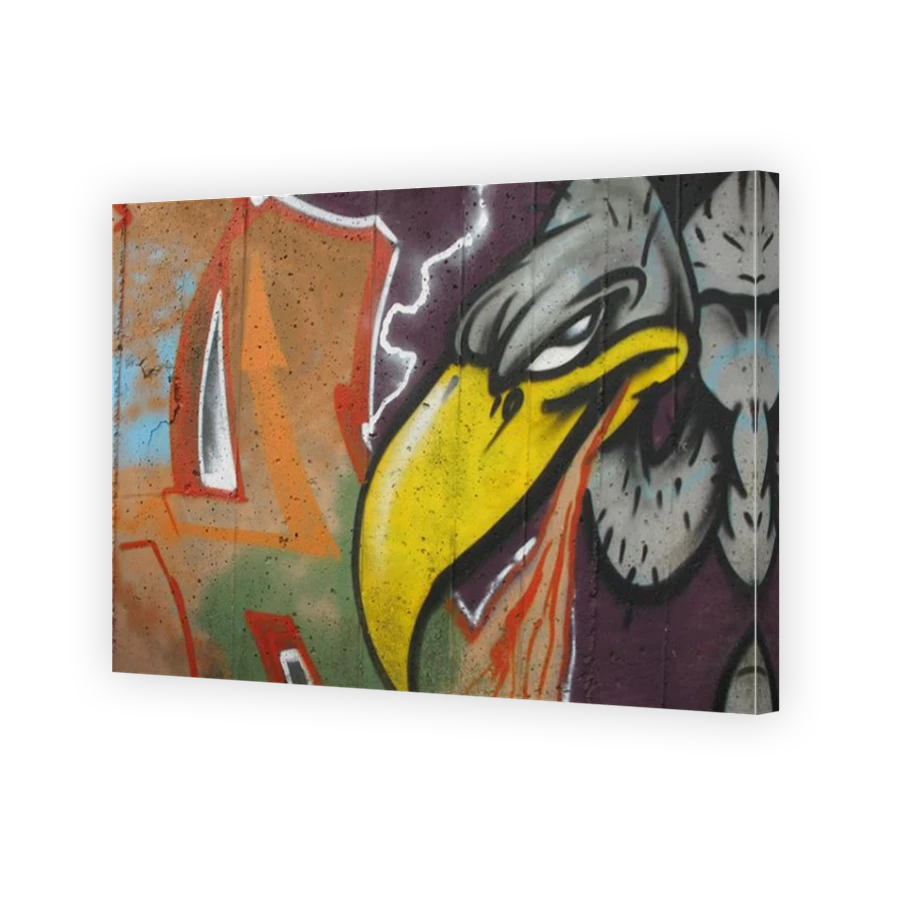 Thumbnail for Canvas - Mirror Image Canvas Wrap