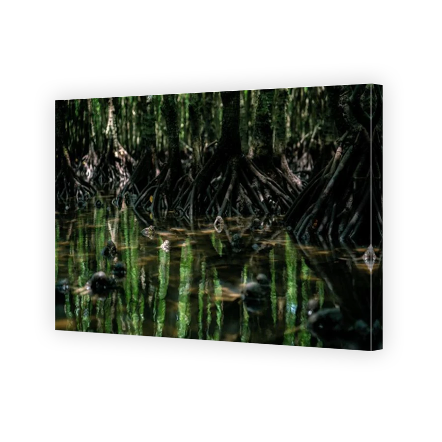 Thumbnail for Canvas - Mirror Image Canvas Wrap