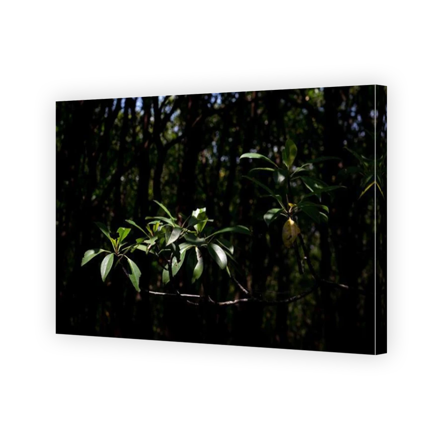 Thumbnail for Canvas - Mirror Image Canvas Wrap
