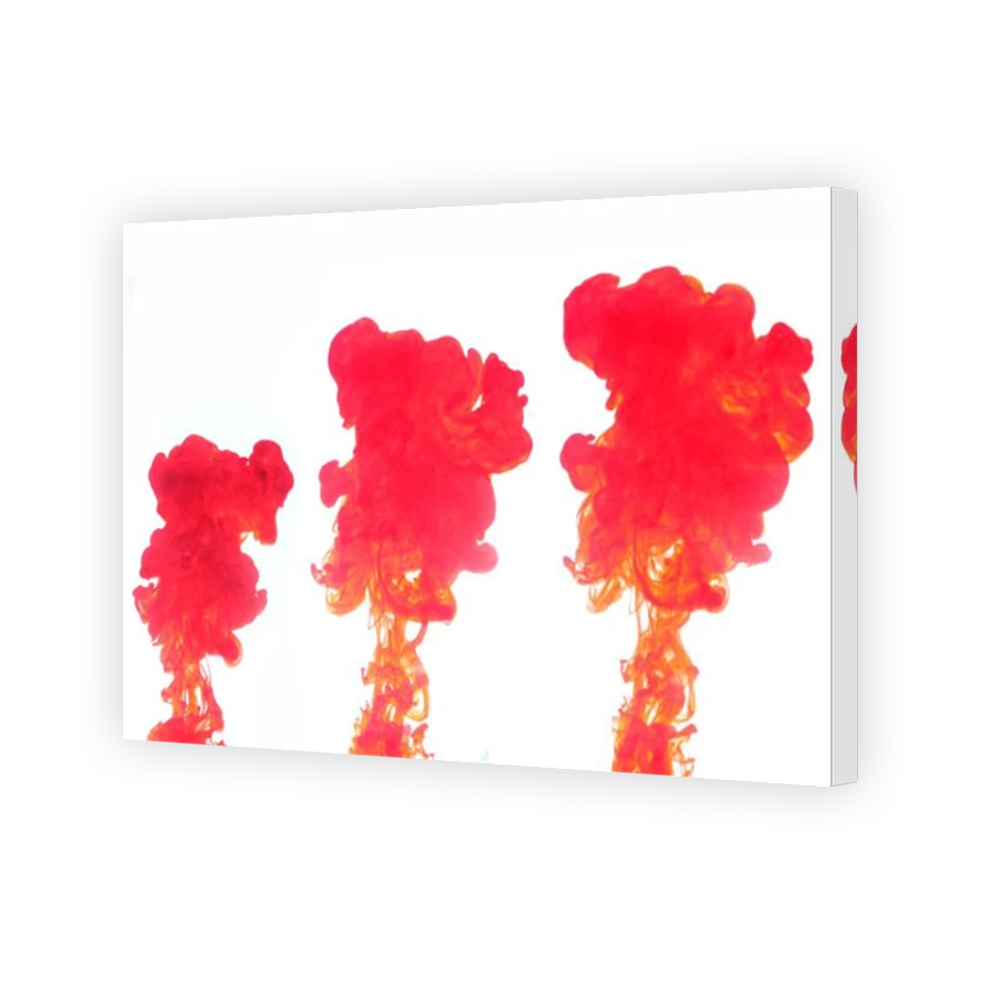 Thumbnail for Canvas - Mirror Image Canvas Wrap