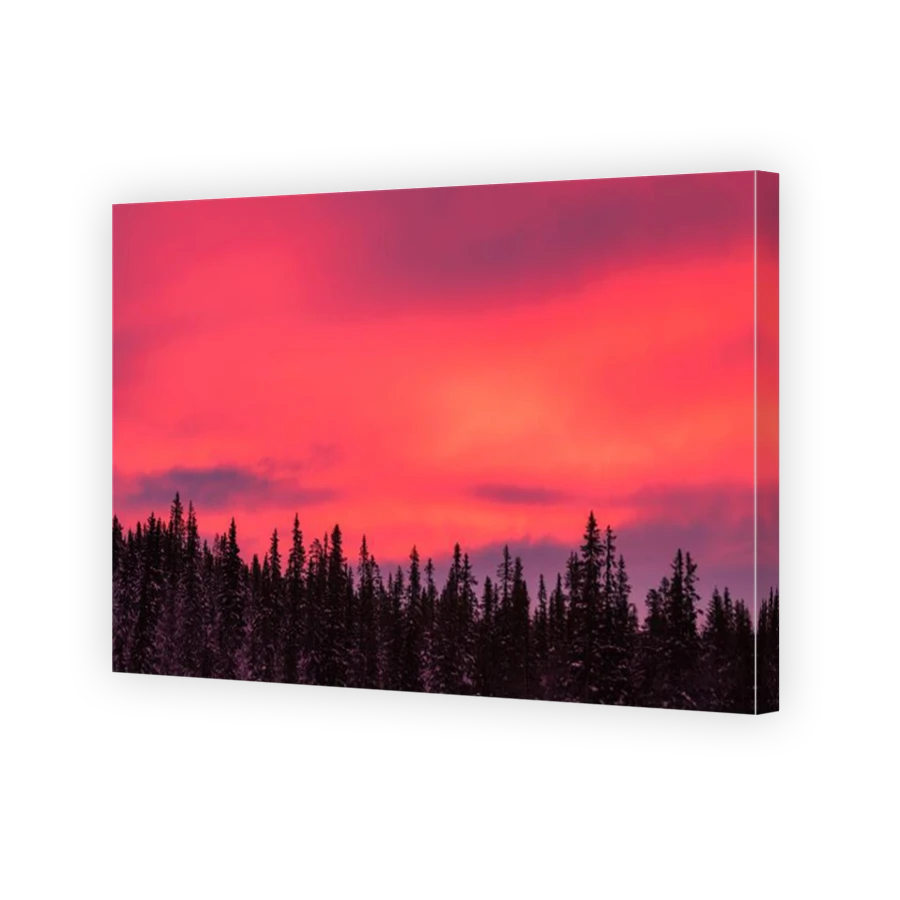 Thumbnail for Canvas - Mirror Image Canvas Wrap