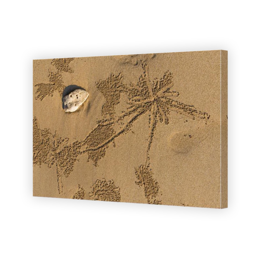 Thumbnail for Canvas - Mirror Image Canvas Wrap