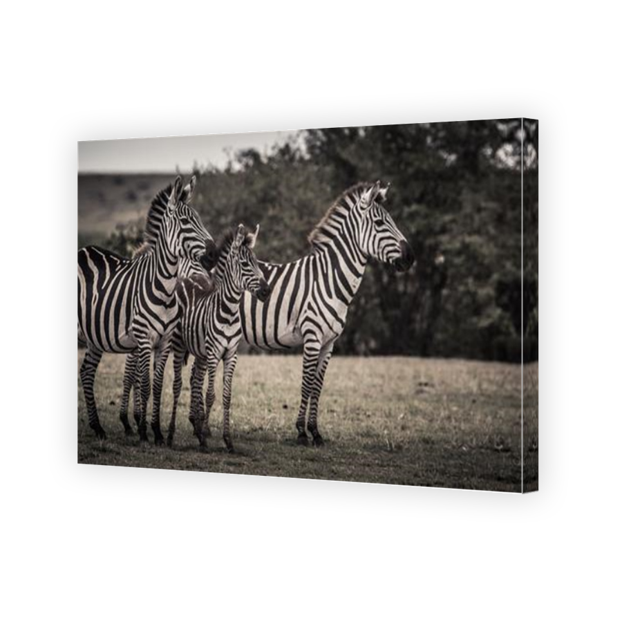 Thumbnail for Canvas - Mirror Image Canvas Wrap