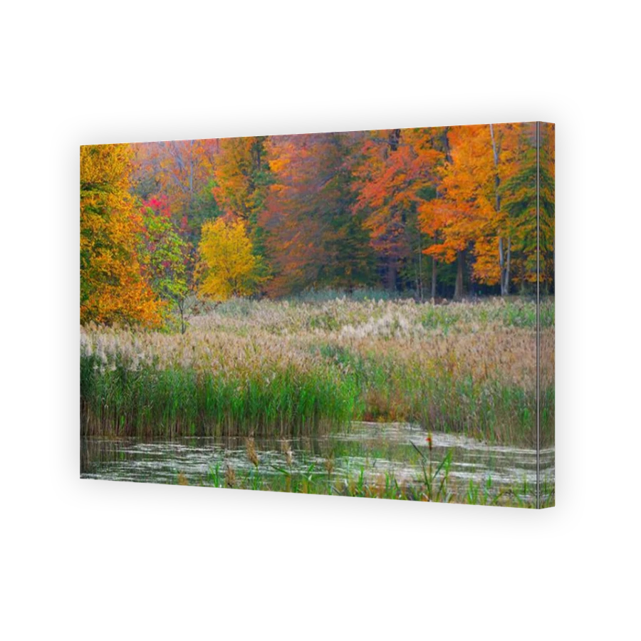 Thumbnail for Canvas - Mirror Image Canvas Wrap