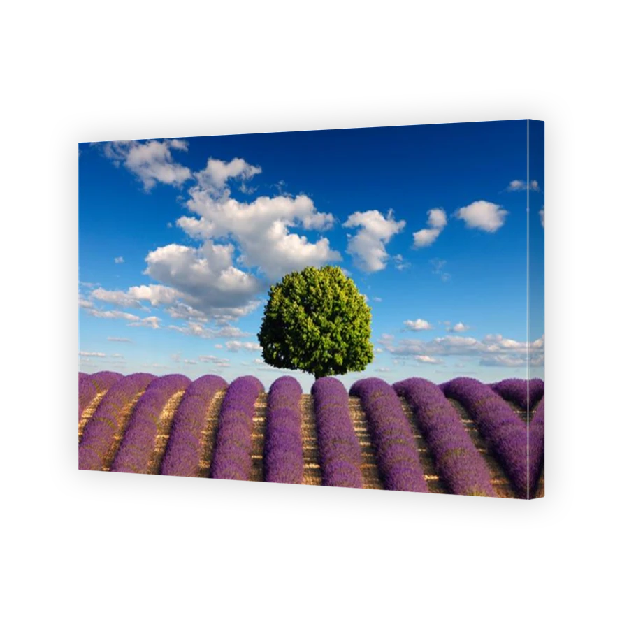 Thumbnail for Canvas - Mirror Image Canvas Wrap