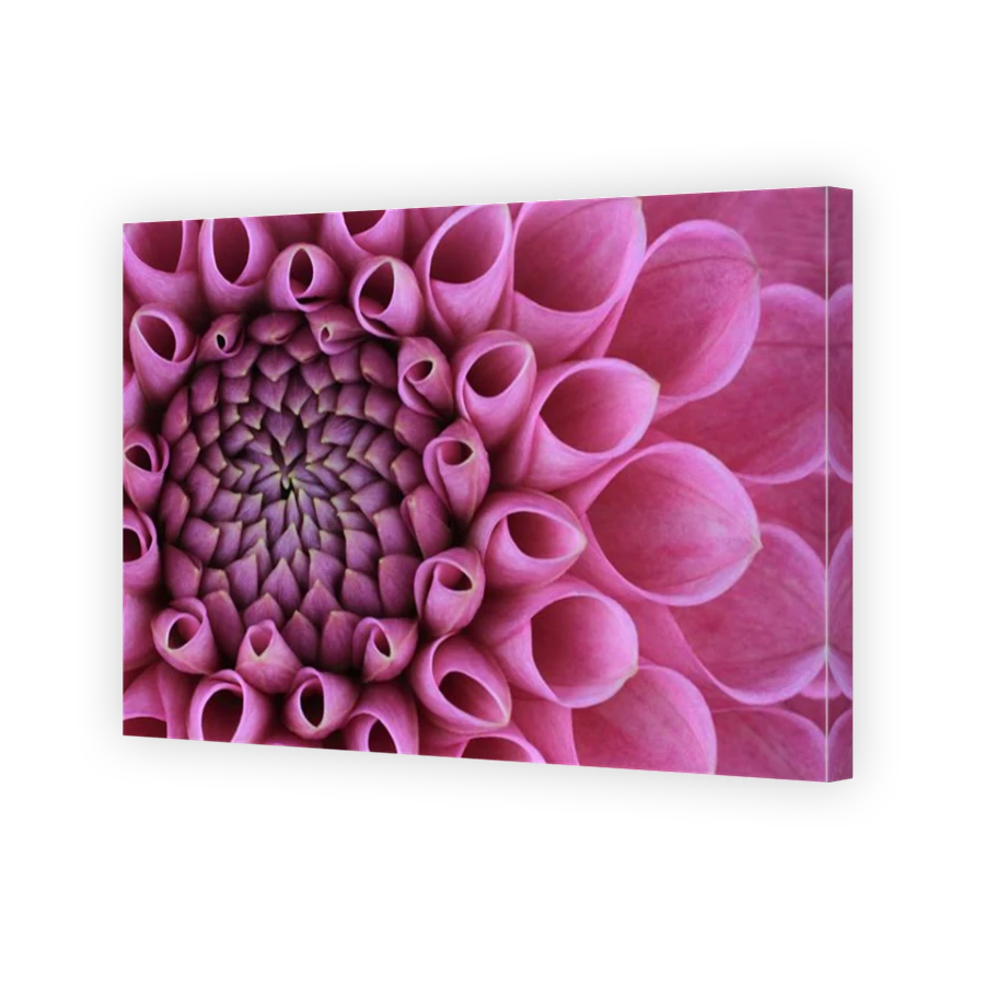 Thumbnail for Canvas - Mirror Image Canvas Wrap