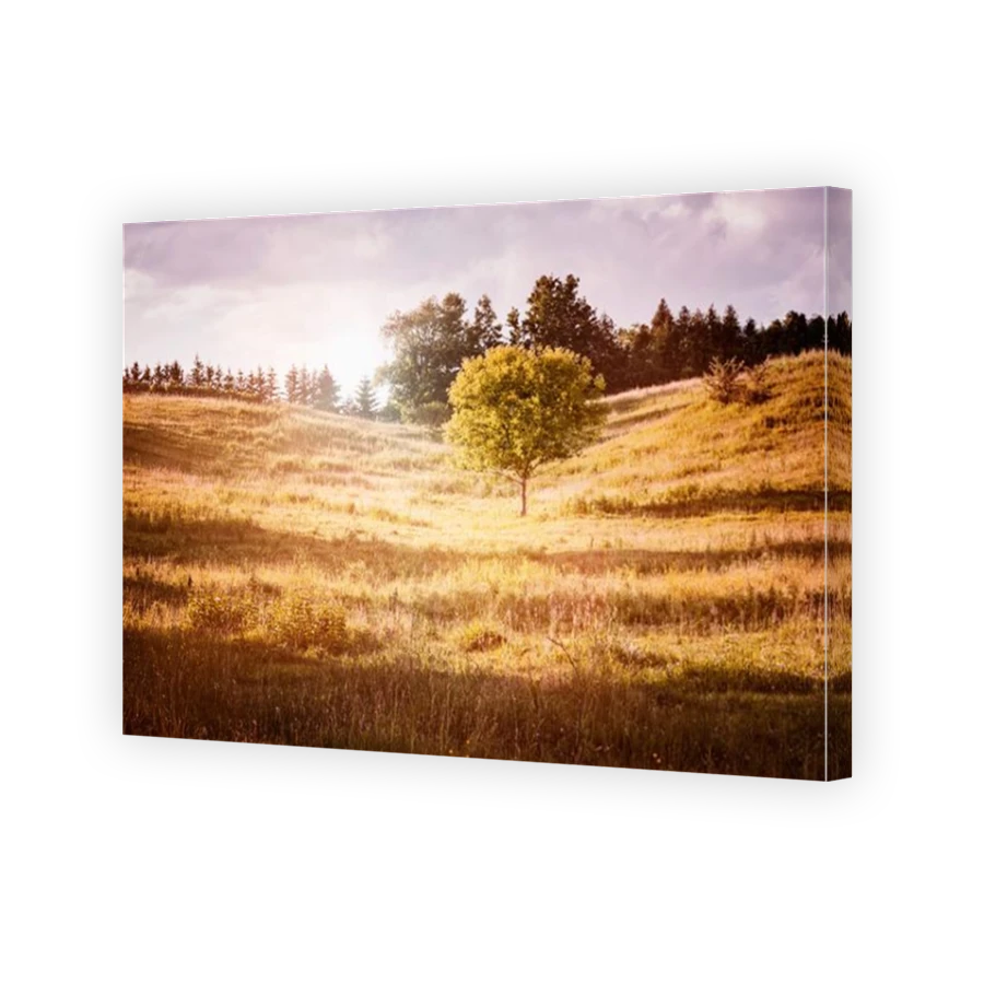 Thumbnail for Canvas - Mirror Image Canvas Wrap